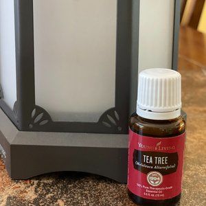 Tea Tree Essential Oil (Melaleuca Alternifolia) - 15 ml